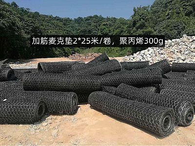 加筋麥克墊網格8*10cm,聚丙烯質量300g,多少錢，怎么賣？